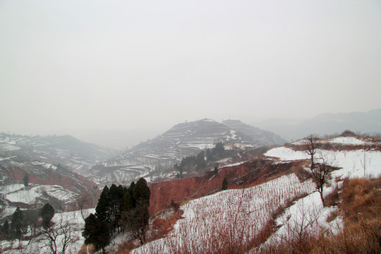 雪地風(fēng)景