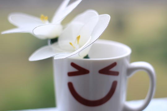 杯與花