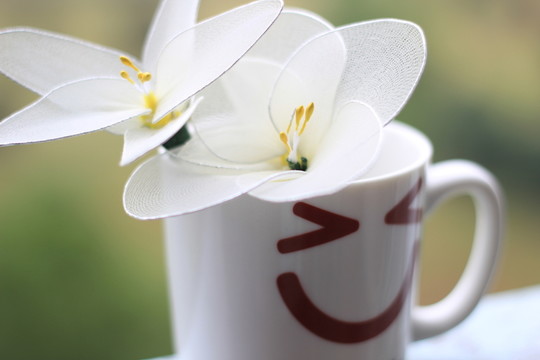 杯與花