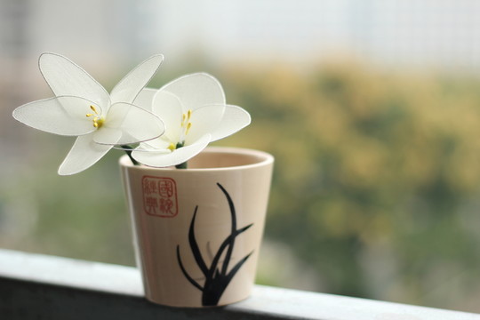 花與杯