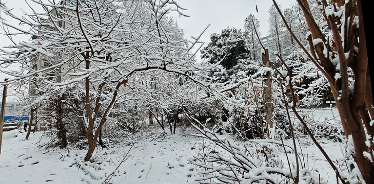 兆豐年雪景