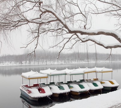 濱河公園的雪景