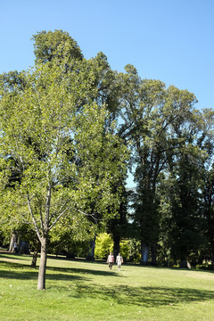 公園