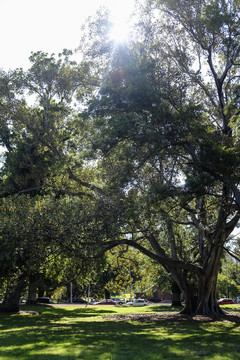 公園