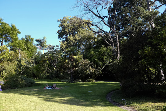 公園綠地