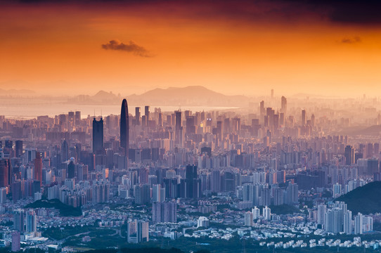 深圳 都市風(fēng)光 風(fēng)景 高樓群