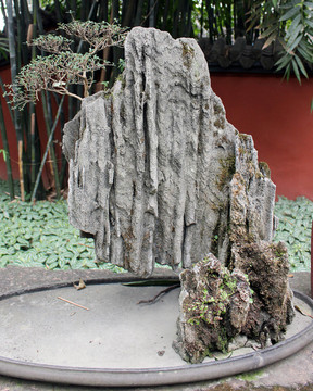 盆栽藝術(shù)