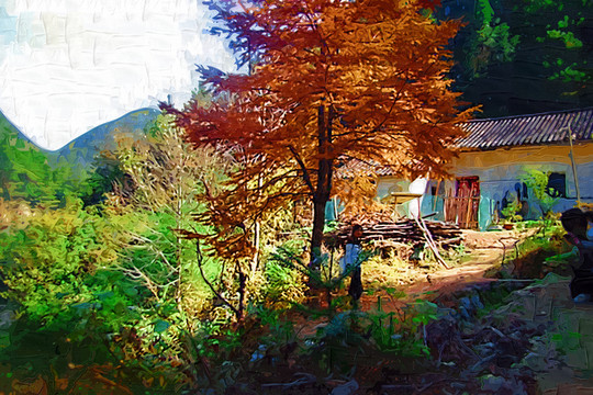 自然風(fēng)情
