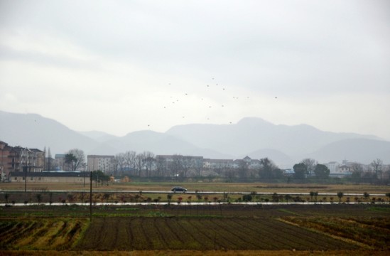 新農(nóng)村