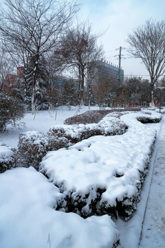公園雪景