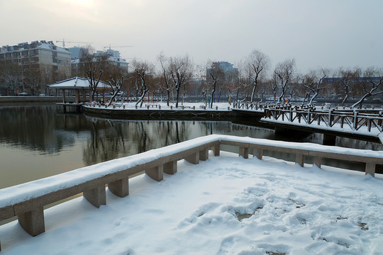 公園雪景