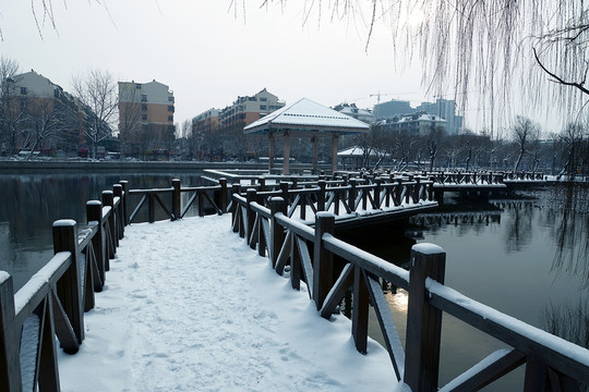 園林雪景