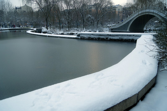 大雪后的公園