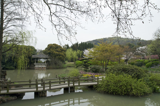 無錫黿頭渚風(fēng)景區(qū) 黿頭渚 櫻花