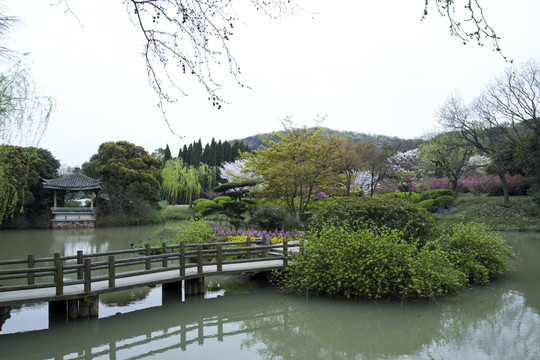 無(wú)錫黿頭渚風(fēng)景區(qū) 黿頭渚 櫻花