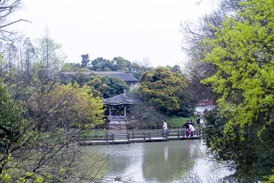 無錫黿頭渚風(fēng)景區(qū) 黿頭渚 櫻花