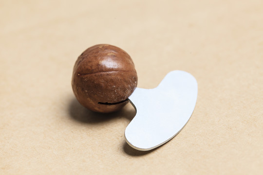 澳洲堅(jiān)果