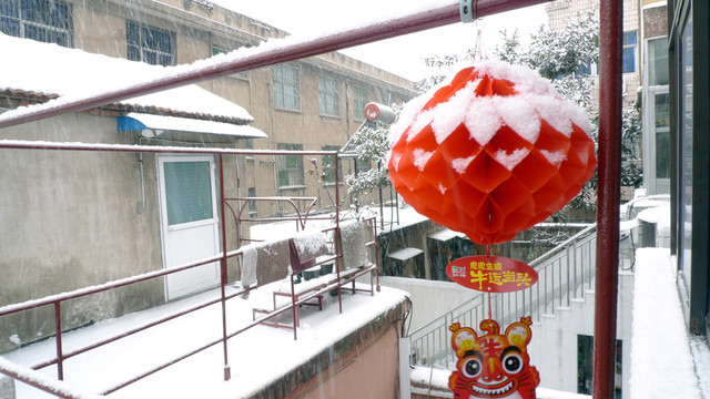 雪景 民居 百姓生活 庭院