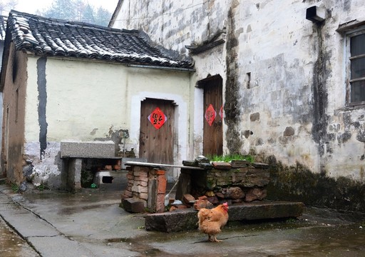 農(nóng)村土房