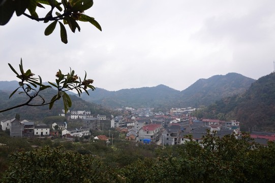 琵琶林 小村