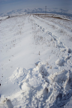 雪地 腳印