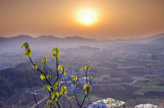 夕照圖