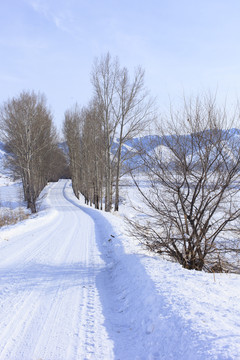 路