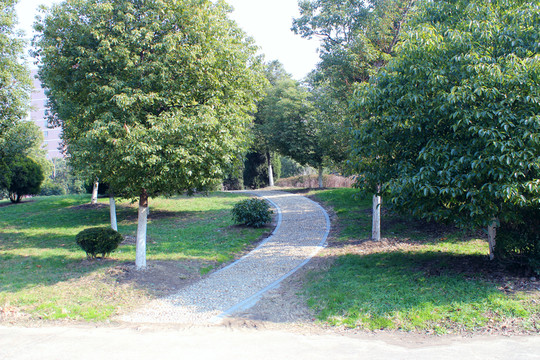 公園小路