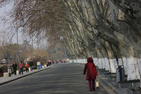 林蔭大道
