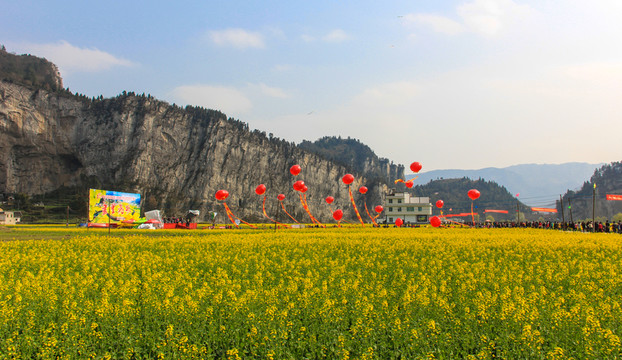 四川古藺雙沙油菜花