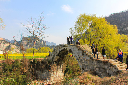 古藺雙沙油菜花紅軍橋