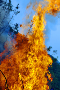 火災(zāi) 火苗