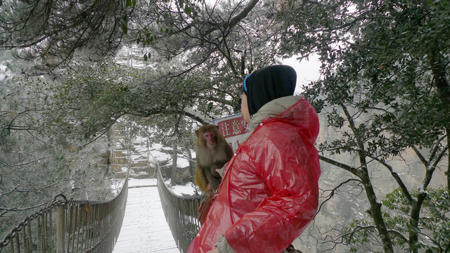 中國(guó)四川 九寨溝 原生態(tài) 雪景