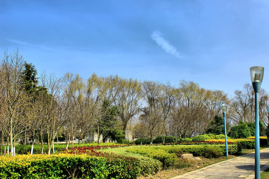 藍天風景