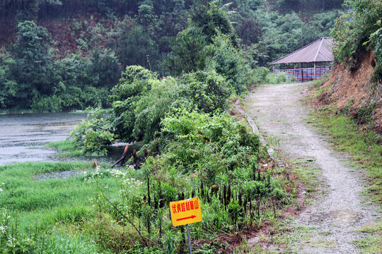浙江 余姚 楊梅種植基地 鄉(xiāng)村