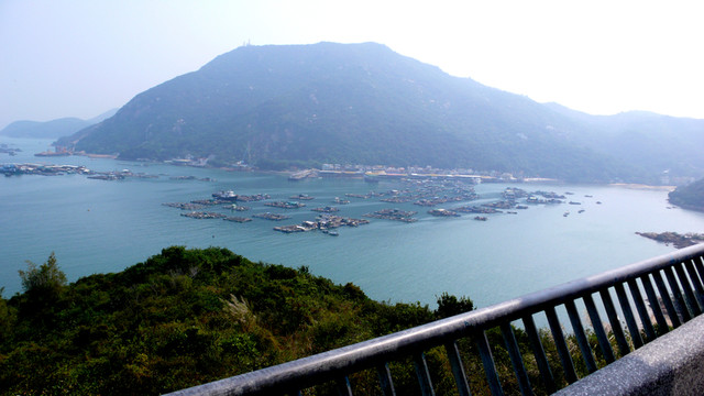魚(yú)類(lèi)養(yǎng)殖