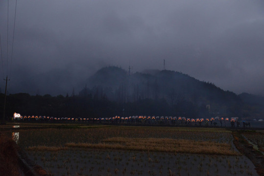 雨中板龍 板龍 龍燈 龍頭