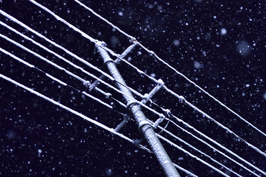 雪花 大雪 雪 雪樹 白雪
