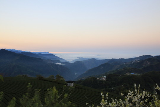 阿里山云海