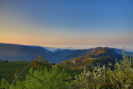 阿里山