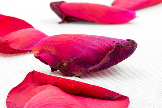 玫瑰花瓣