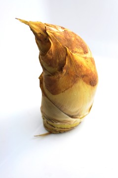 冬筍