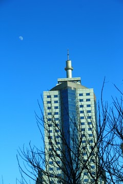 月光 建筑
