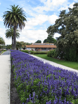 公園