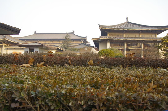 陜西歷史博物館