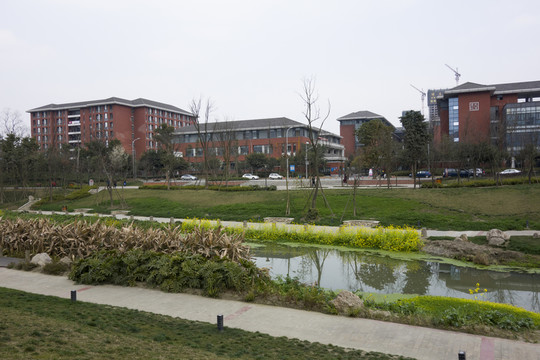 公園小河學(xué)校