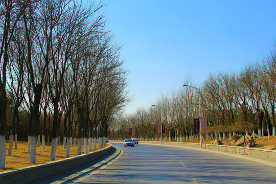 景觀道路