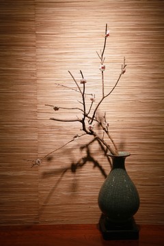 室內(nèi)小景干支梅