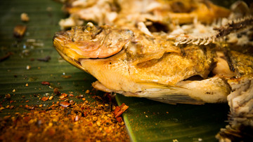 勐海烤鱼