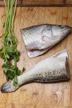魚